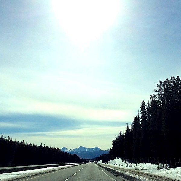 Der Trans-Canada Highway 1